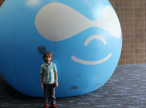 Aiden by the Drupal head