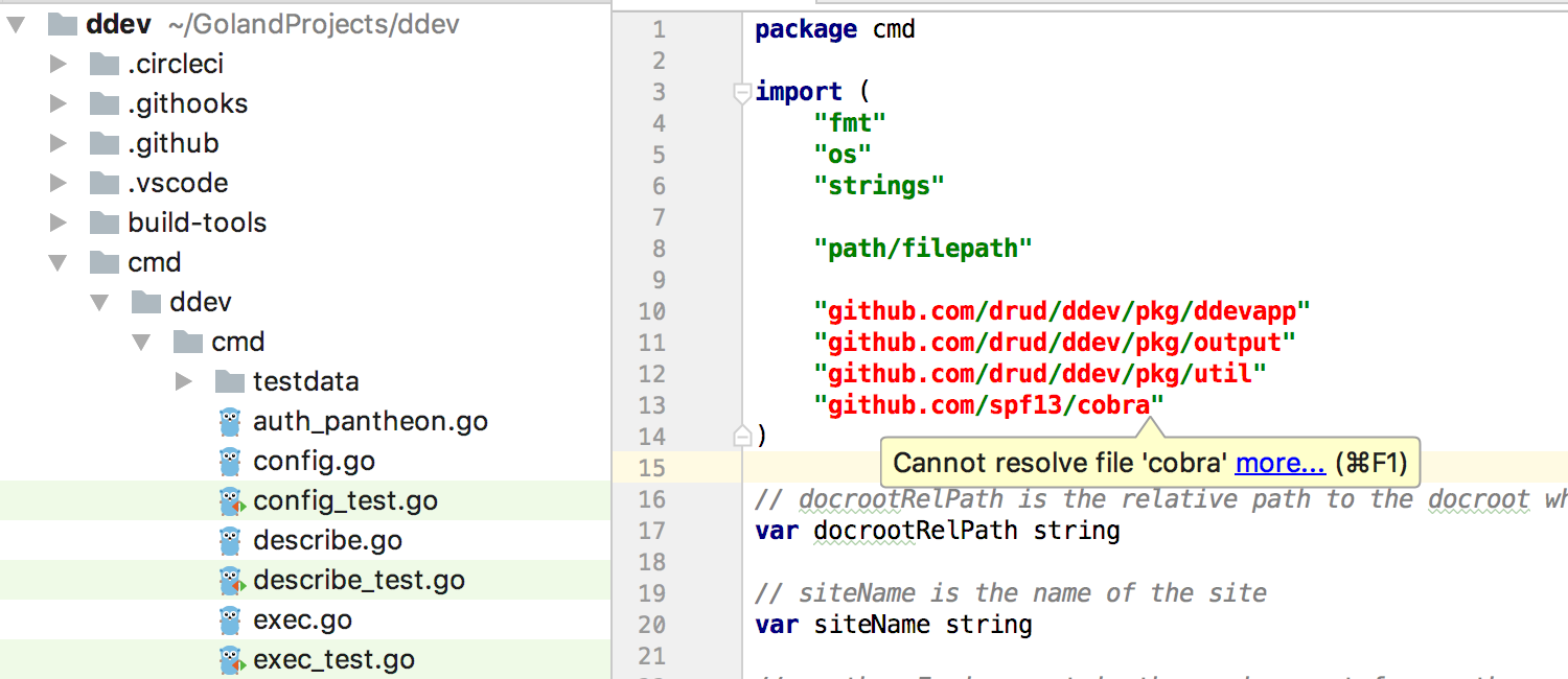 vscode vs goland