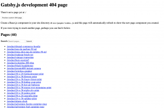 gatsbyjs 4040 page